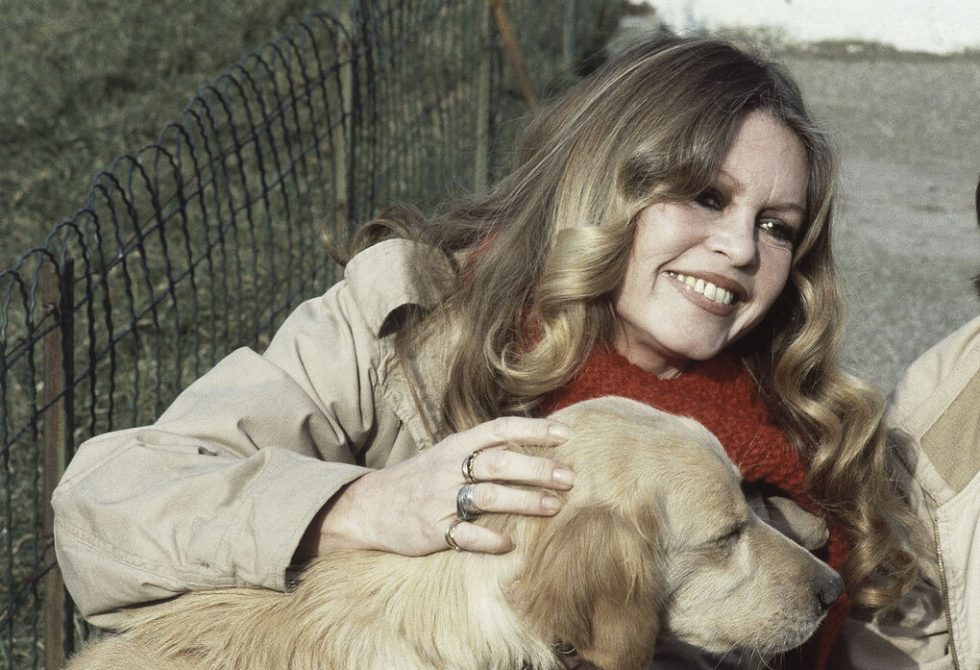 briggite bardot